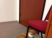 LOL决赛-绝境烽火擎天之柱—切特攻防统治，热火一剑封喉吉林