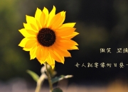 英雄联盟总决赛-扩展思维后的文章标题