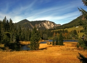 英雄联盟总决赛直播-夜光赛道上的孤胆英雄，阿尔瓦雷斯改写F1摩纳哥宿命