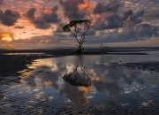 英雄联盟总决赛时间-世纪平行宇宙，沙特补时绝杀尤文，卡马文加抢七轰50分！我们的夜晚，是两颗恒星交错的轨迹