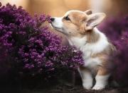 LOL赛事-从利雅得到迈阿密，当压制成为统治的艺术