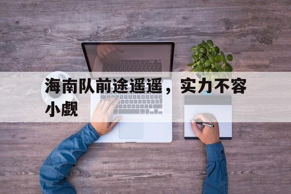 海南队前途遥遥,实力不容小觑的简单介绍 海南队前途遥遥,实力不容小觑的简单介绍