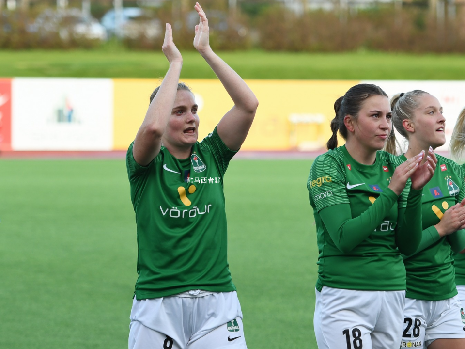 冰岛队在女足赛中交出亮眼战绩的简单介绍