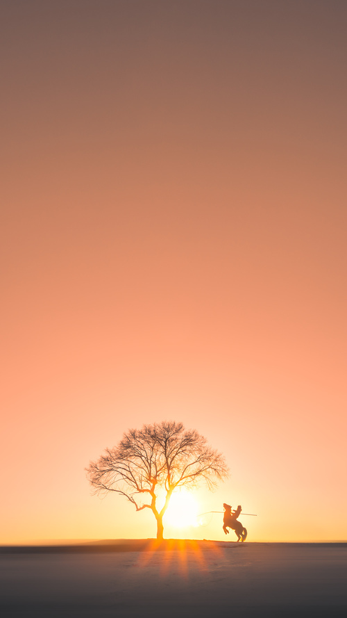 地球上有史以来最奇特的篮球绝杀,文班亚马,一个在CBA季后赛为法国少年写下名字的夜晚