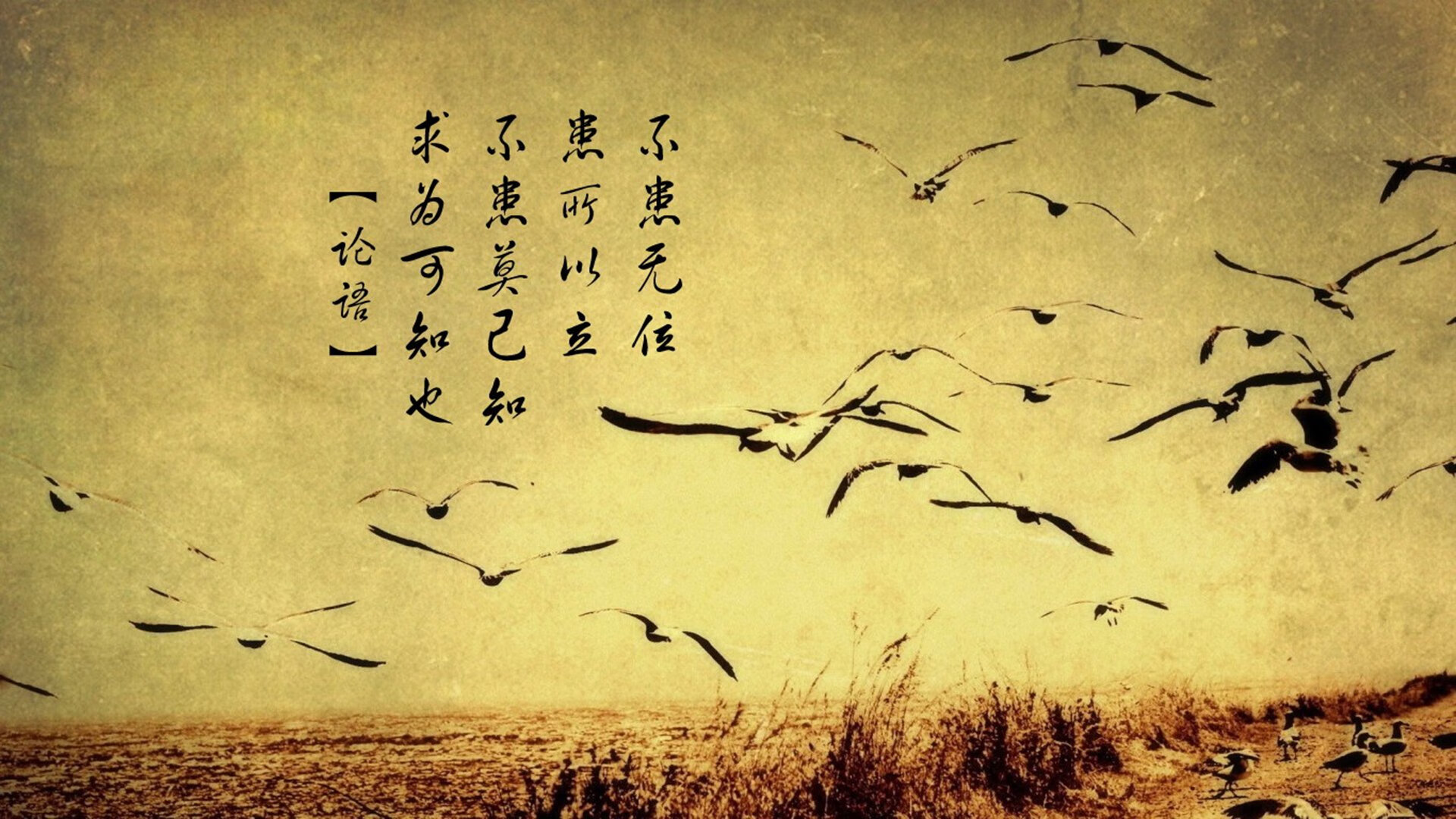 烈焰焚城与寒冰锁国,爱德华兹狂飙之夜揭示的篮球真谛