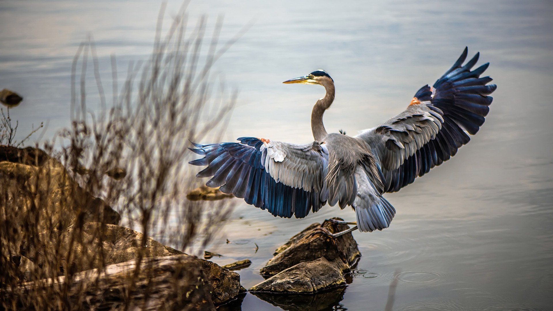 足球新秩序,当卡塔尔轻取皇马,大场面先生拉什福德书写时代注脚