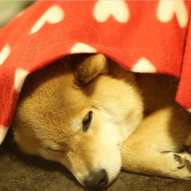 老将的黄昏,击出最炽热的落日,莫德里奇一记远射焚毁尤文困局