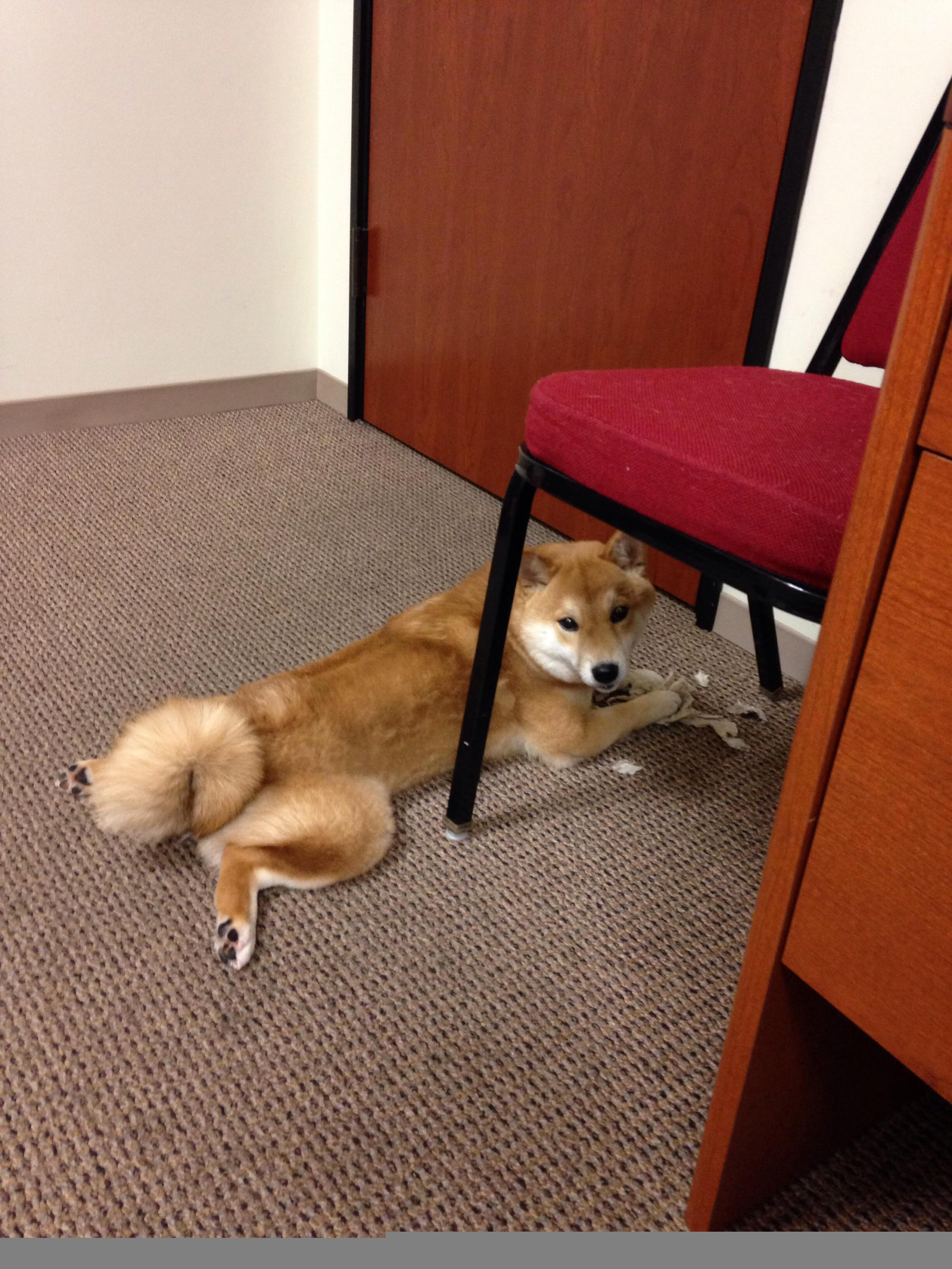 绝境烽火擎天之柱—切特攻防统治,热火一剑封喉吉林