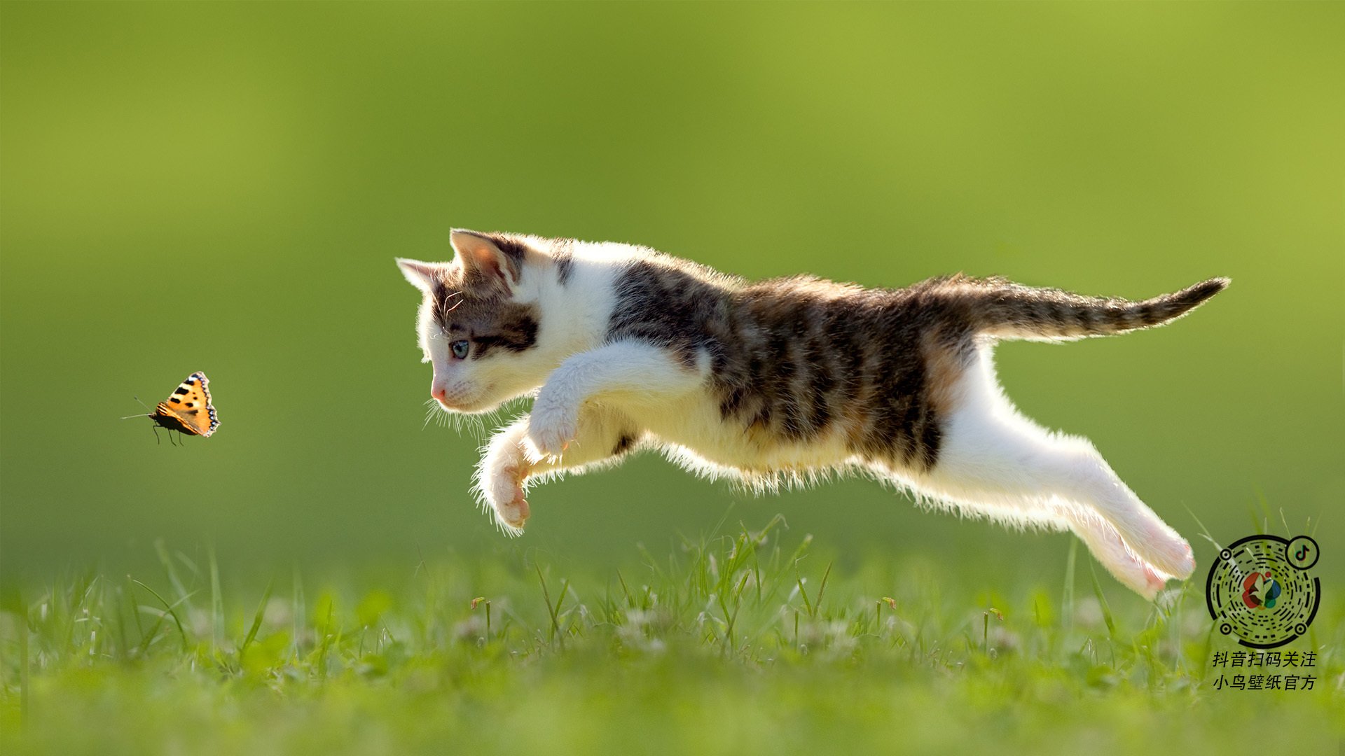 洪都拉斯对阵新西兰，若日尼奥在黎明前的黑暗中完成自我救赎