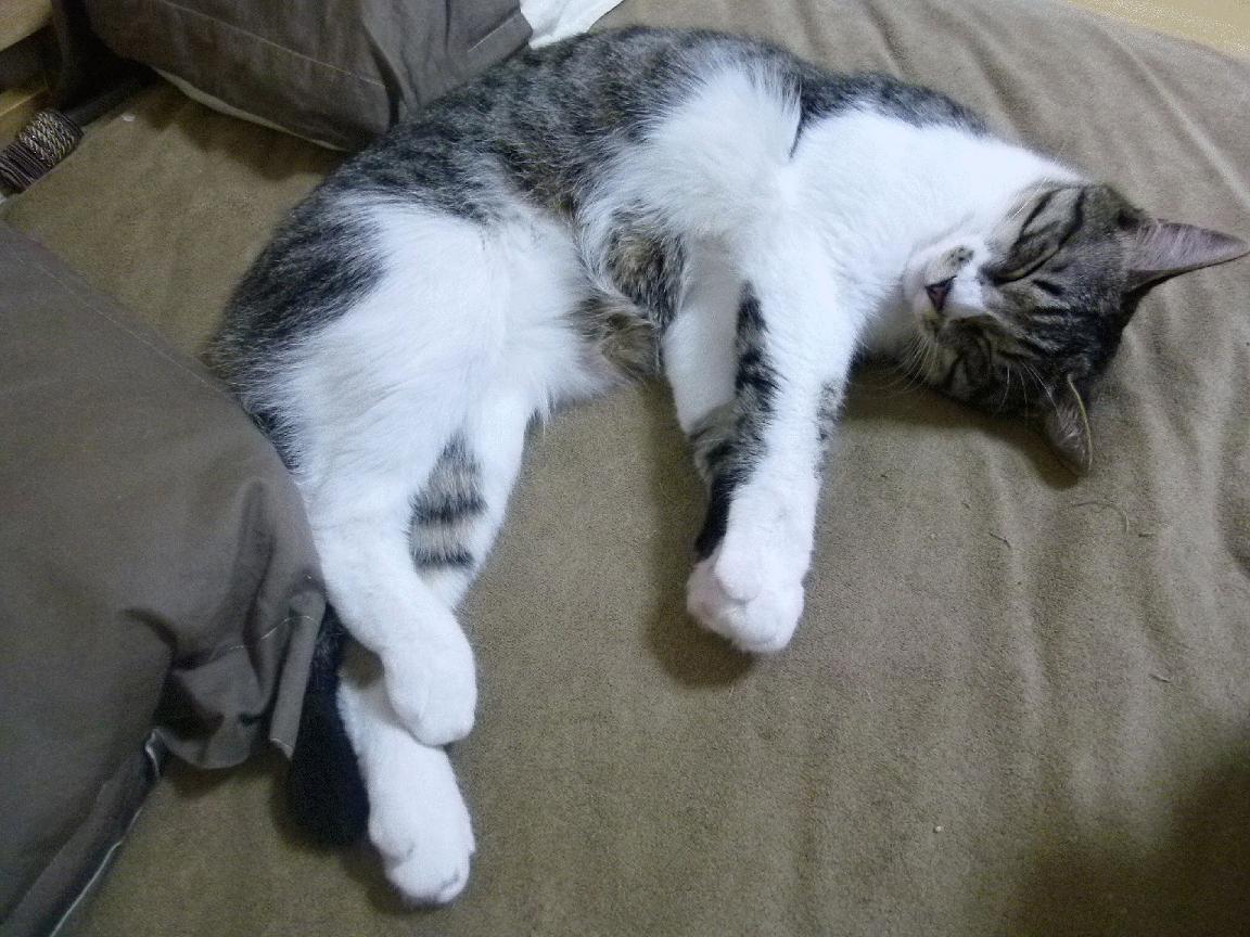 大胡子与京腔，当哈登用慢三步打碎首钢体育馆的秒针