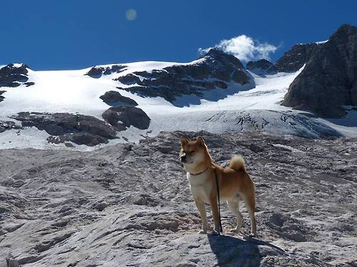 单节攻防风暴！广厦队第三节一波流击溃强敌，本土核心化身关键先生伦纳德