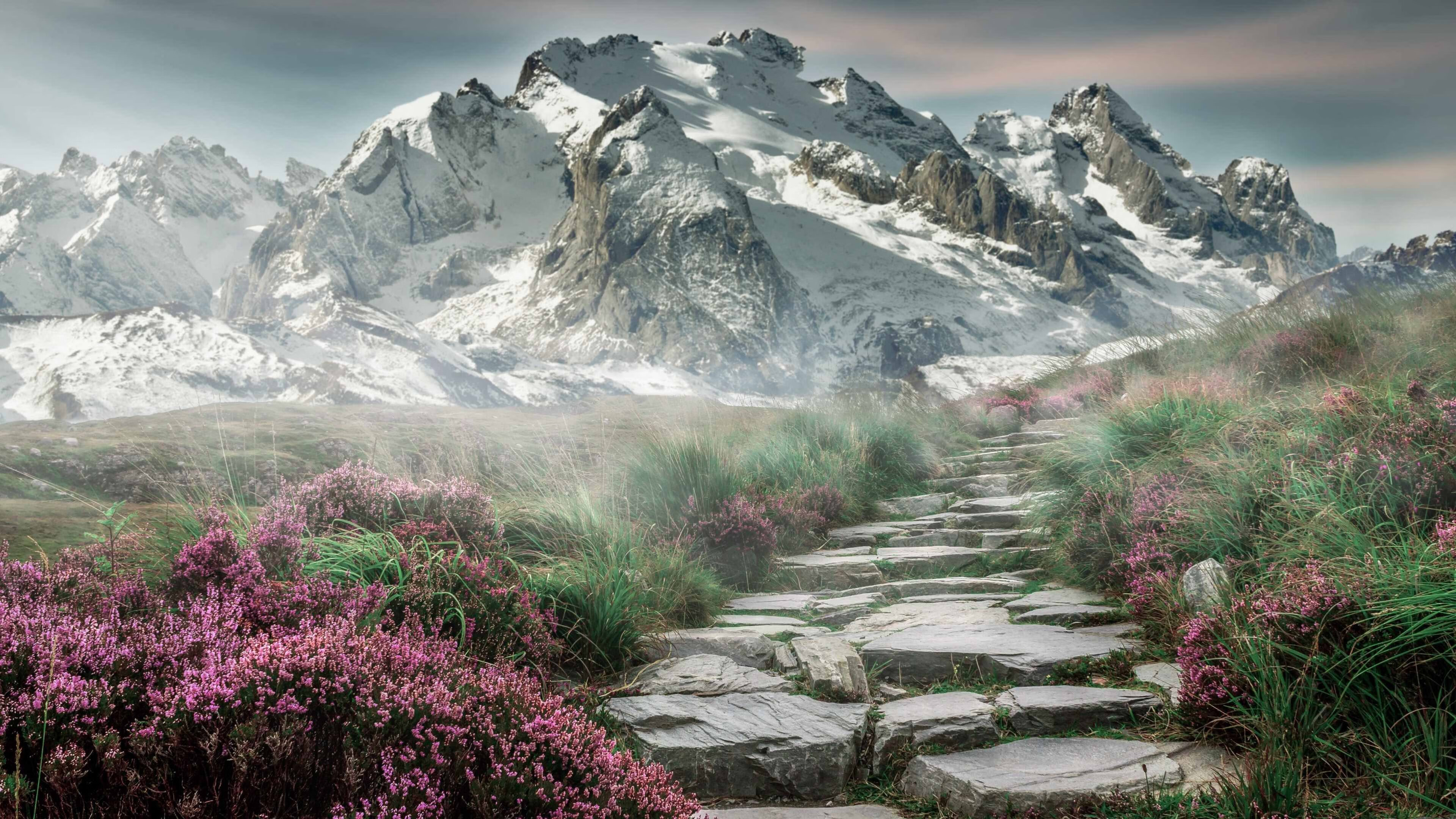 红线与节奏，极速与掌控的双重艺术