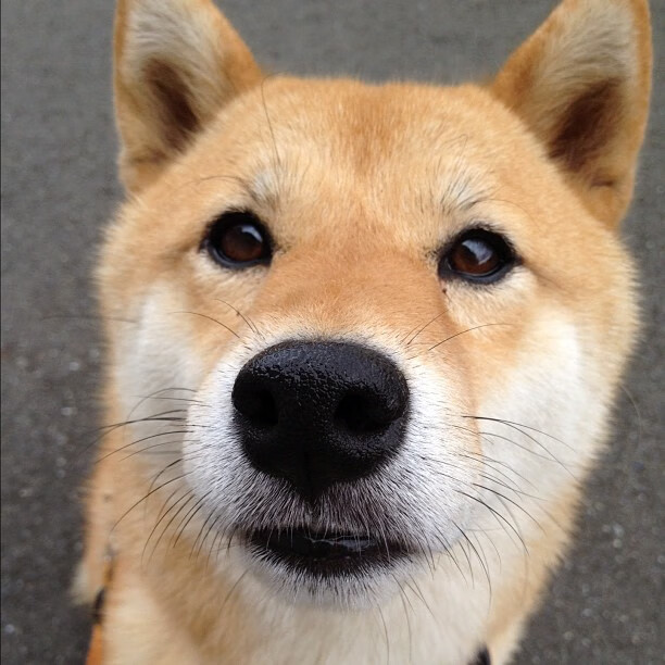 锡安梦幻带队！尼克斯压哨绝杀吉林队，跨洋对决引爆篮球热