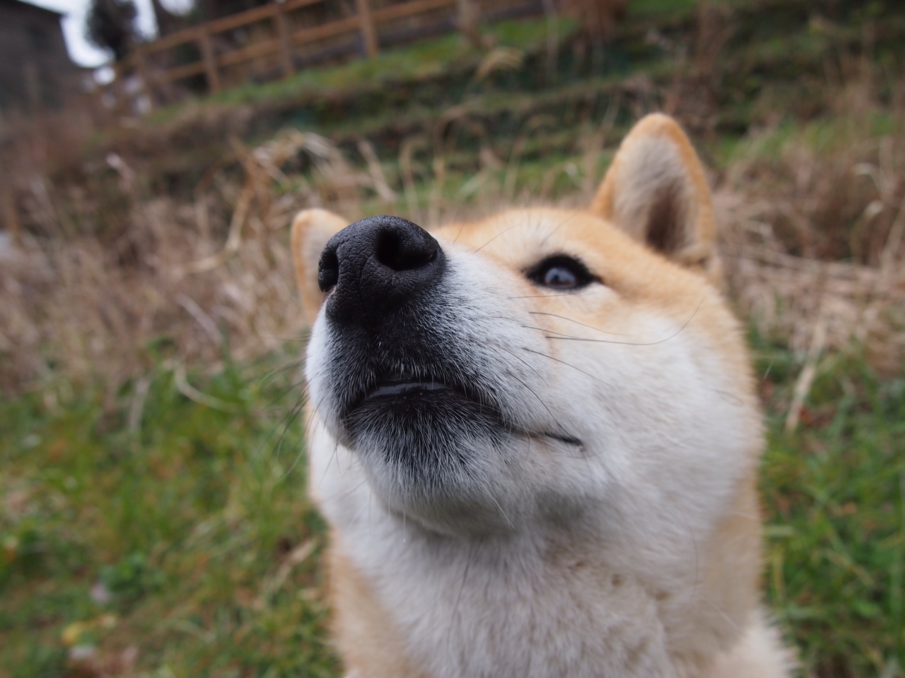 平行宇宙跨界盛景,NBA季后赛之夜孔德完成足球里程碑